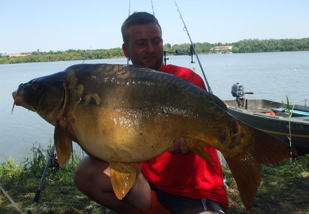 CONCURS ONLINE. Scrie exact cat a cantarit crapul din fotografie si castiga premii!